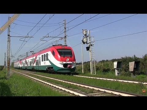 Minuetto Leonardo Express a Parco Leonardo - Minuetto Leonardo Express in Parco Leonardo