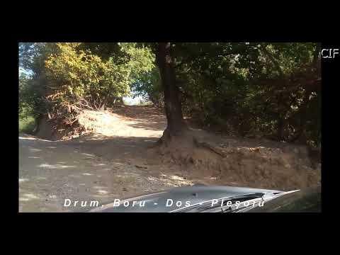 Livezi, Vâlcea, RO - Drum, Boru - Dos - Pleșoiu (2021)