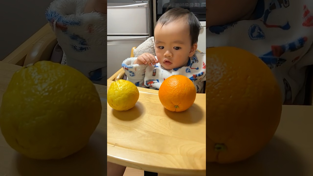 #はるか or #オレンジ🍊　どちらが好きなの？#ベビー