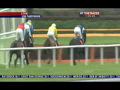 Hatton's Grace Hurdle 2011