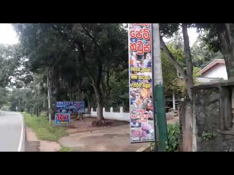 The Crystal Collector sri lanka | Quartz Crysta Mining