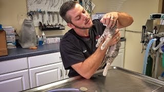 Yep....It&#39;s Broken...