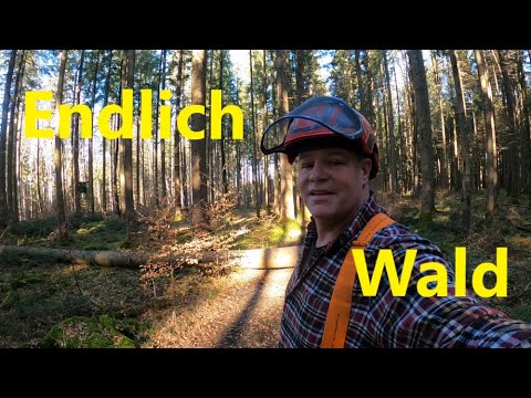 Forest work, a Valtra G and a 💩 job