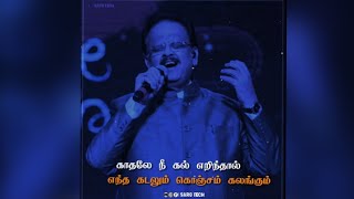 💕En Kadhale  En Kadhale💕 | SPB Song | Tamil WhatsApp Status