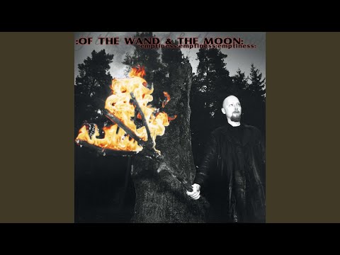 Silver Rain cover