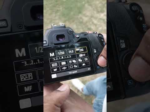 Best Canon 200d mark ii With 55-250mm Lens Background Blur Camera Setting #photography #background