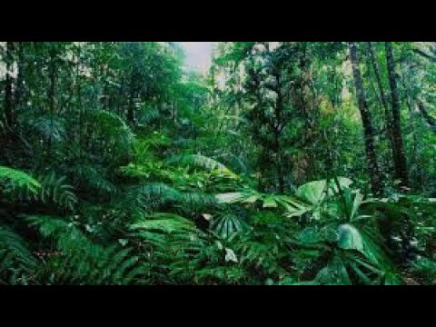 [FREE] PHARAOH x White Punk TYPE BEAT - "Omertvlenie" (prod.Lil cXligo)