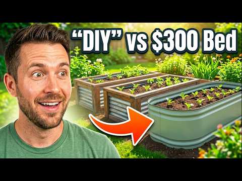 Metal Raised Garden Beds: DIY, Budget, Premium Options