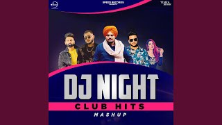 DJ Night Club Hits song artwork