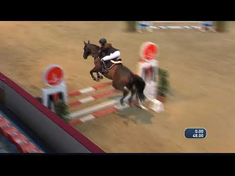 Danthes H  CSI Neustadt Dosse   2019  I