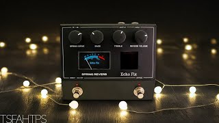 I’m in LOVE...Echo Fix EF-P2 Spring Reverb