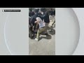7 Arrested After 2 Teens Attacked At SLAM Charter School In Little Havana