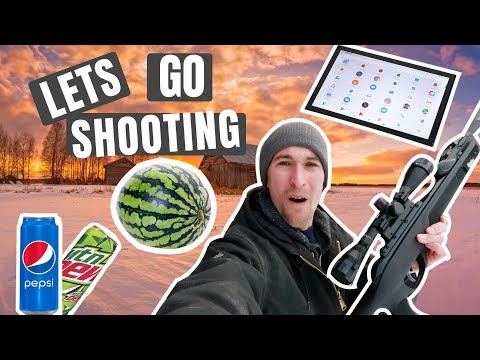 GAMO Swarm Fusion 10X Gen 2 .22 Cal (FIELD TEST)