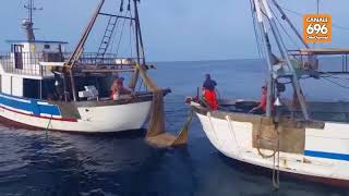 truffa-all-ue-sotto-accusa-400-pescatori-salernitani