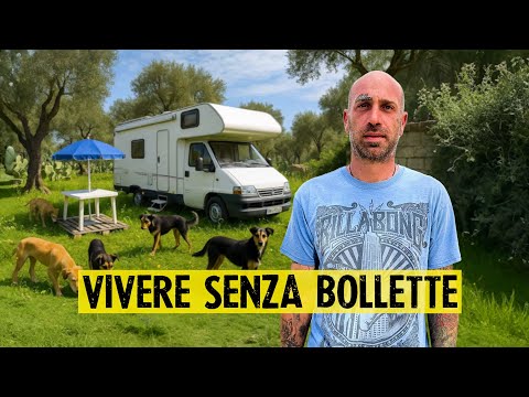 Drop everything and live alone in a remote countryside