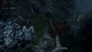 しろっこのぐだぐだALAN WAKE/アランウェイク 第24回