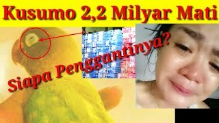 Download lagu Pamitan..10 Fenomena Lovebird Kusumo mati | ngekek panjang | Lovebird Juara mp3