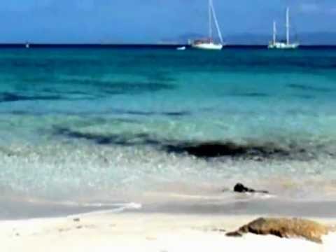 Daniele Soriani - Starlight ( d-soriani es pujol remix ).WMV