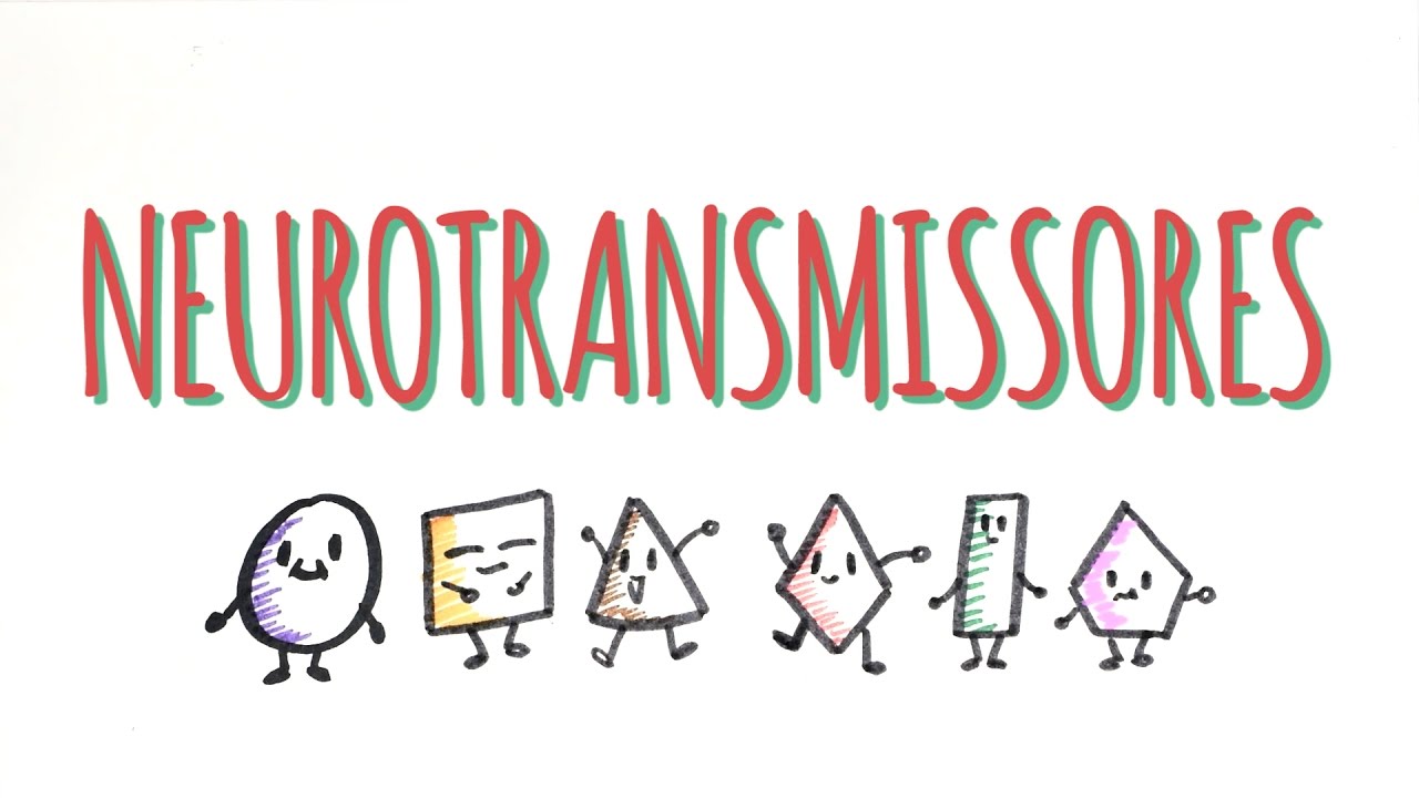 O QUE SÃO NEUROTRANSMISSORES?