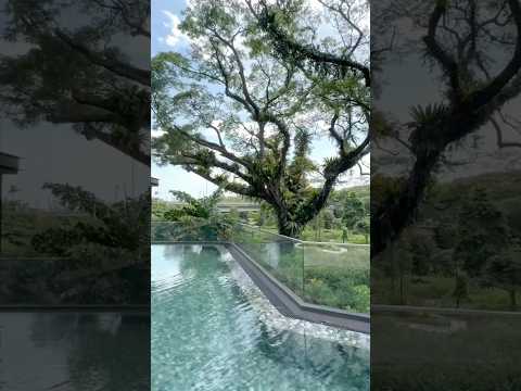 Avenue South Residence, 1 Silat Avenue, 3 Bedrooms, 1,001 sqft, Condominium For Sale, by Carrie Chin, 25492819 - PropertyGuru.com.sg