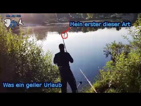 Den hatte ich noch nie!!! Der andere macht den Kescher kaputt. ( Angelurlaub 2018 Teil 2/3 )