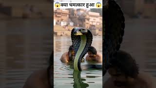 मेरे गिरधर तू ही सहार है श्री प्रेमानंद जी महाराज पानी में नहा रहे🙏#anirudh #dhirendrakrishnashastri