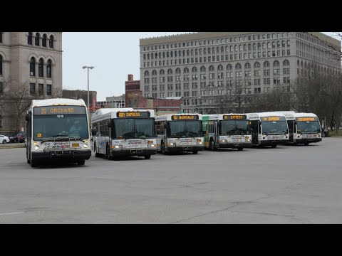 Buses of NFTA Metro | 7th Edition
