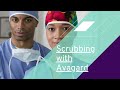Scrubbing With Avagard Veterinary Surgery Skills