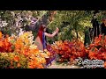 Sham Savere Dekhun Tujhko Kitna Sundar Rup Hai Tera Saath Hai Thandi Schaya Baki Duniya Dhup Hai