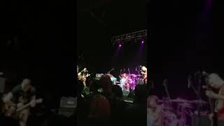 Night Birds - I'm Wired (live in PVD clip)