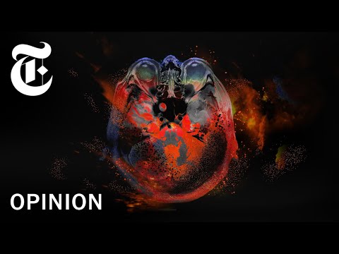 I Studied The Brains of Potential Terrorists. Here's What I Learned. | NYT Opinion