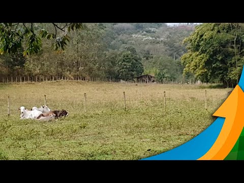 Produtor precisa conhecer medidas jurídicas a serem adotadas em caso de invasão ou ameaça de inva...