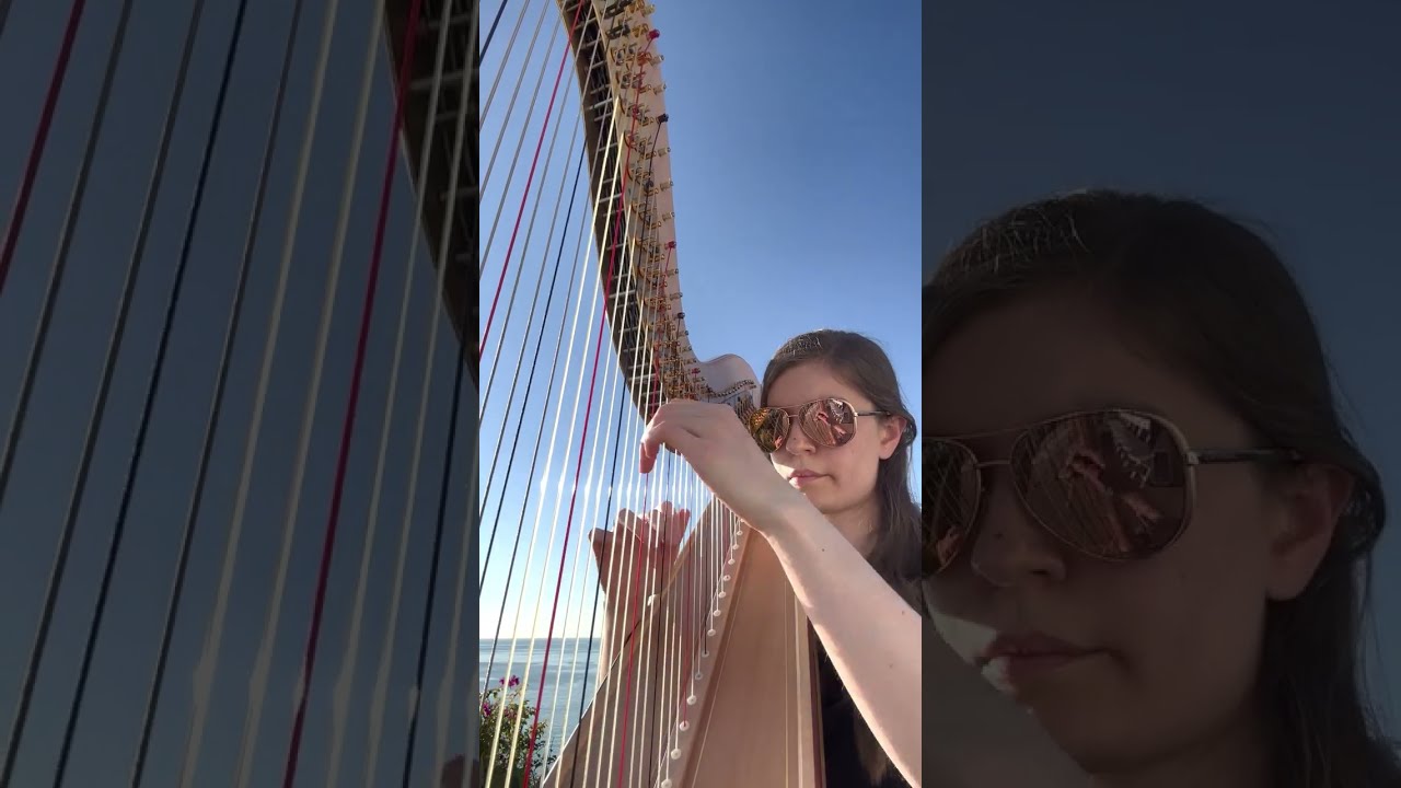 Promotional video thumbnail 5 for Stephanie - Harpist