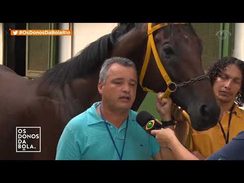 A Hora do Turfe 3 - Conheça a rotina do cavalo no dia da corrida