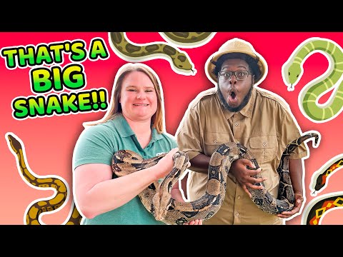 Witness21 Editor  2024 03 05