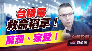 台積電救命稻草！萬潤、家登！｜台股攻略｜劉烱德 (圖)