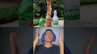 OLHA O QUE ACONTECE QUANDO COLOCAMOS MENTOS NA COCA-COLA ⁉️😱🤩 #shorts #divertido #memes #comedy