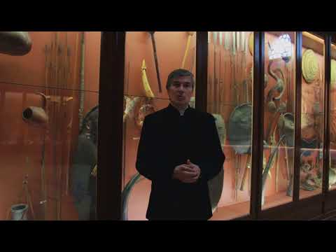 Venezia in un Minuto S02/17 - Le collezioni di Giovanni Miani al MSN