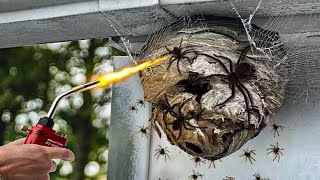 i set spider nest on fire.. huge mistake