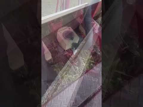 JUJUY 🇦🇷 Siembras de ensayo con tratamiento biológico Bio 3 Force Pack Soja en San Antonio 🌱