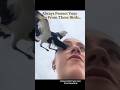 Always Protect Your Eyes From These Birds… #disturbing