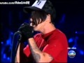 Red Hot Chili Peppers - Otherside live in Rock In ...