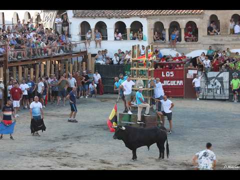 FOTO ALBUM TOROS 2026