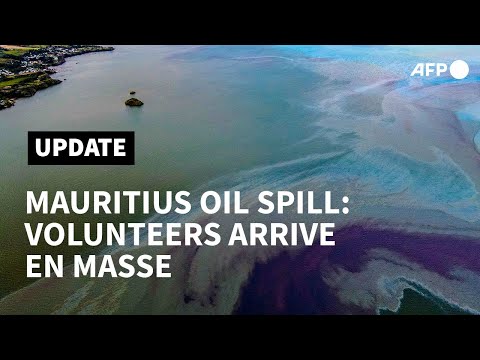 Mauritius oil spill: people arrive en masse in bid to limit spread | AFP