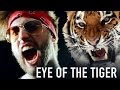 Eye Of The Tiger POWER METAL Cover By Jonathan Young