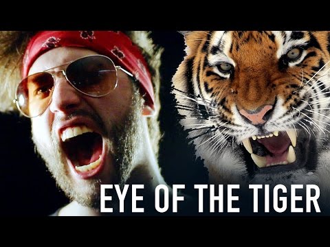 Eye of the Tiger - POWER METAL cover by Jonathan Young