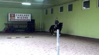 Video of Gran Paradiso L
