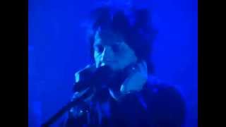 Indochine - Cirque Royal - La nuit des fées
