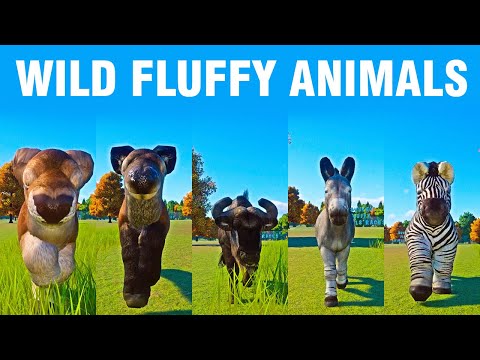 Wild Fluffy Animals Speed Race in Planet Zoo included Zebra, Deer, Wild Ass, Wildebeest