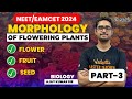 Morphology of Flowering Plants| Part-3 Flower Fruit Seed|EAMCET/NEET 2024 | Ajay sir |Vedantu Telugu
